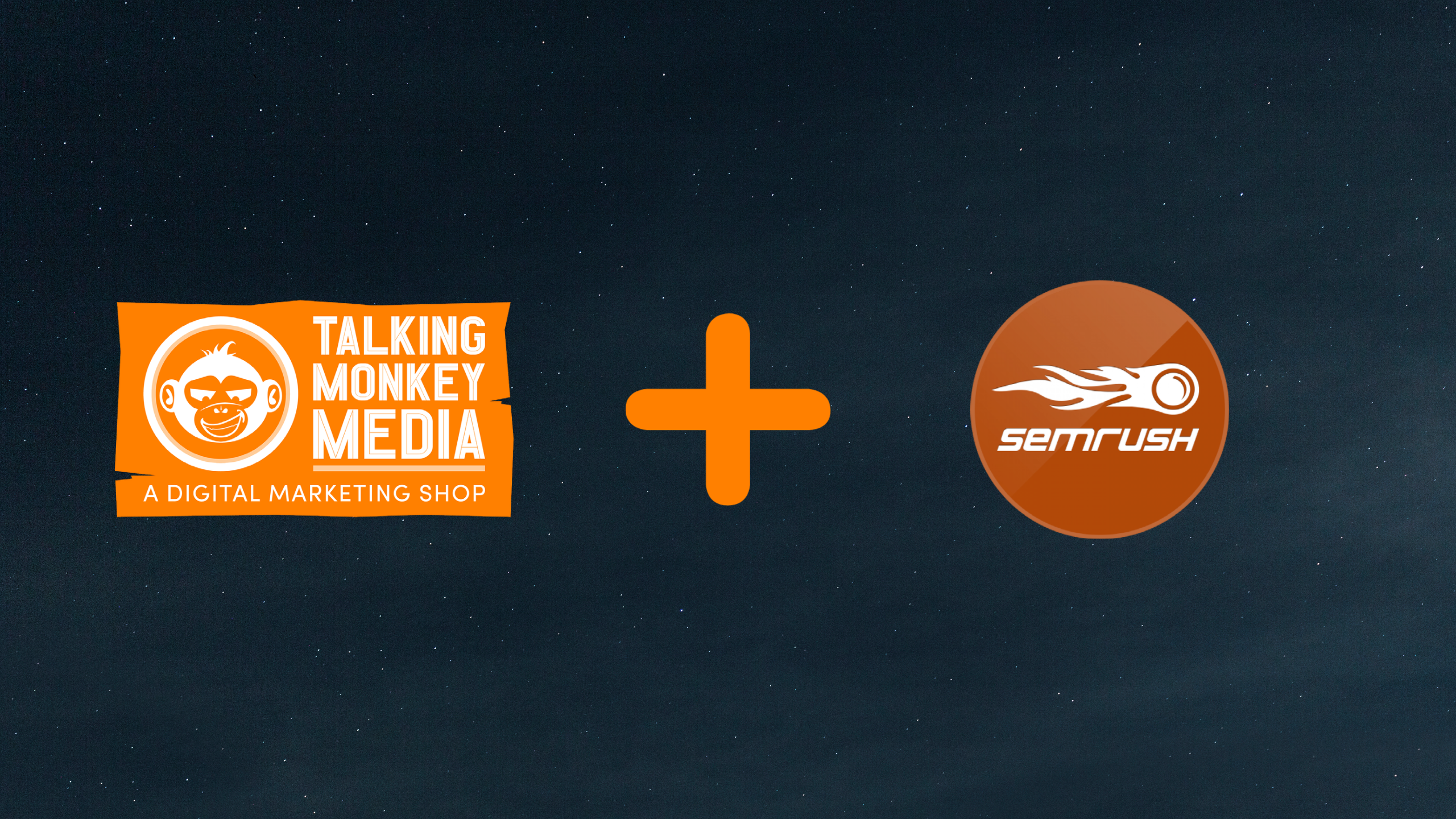 Talking Monkey Media, A Digital Marketing Shop